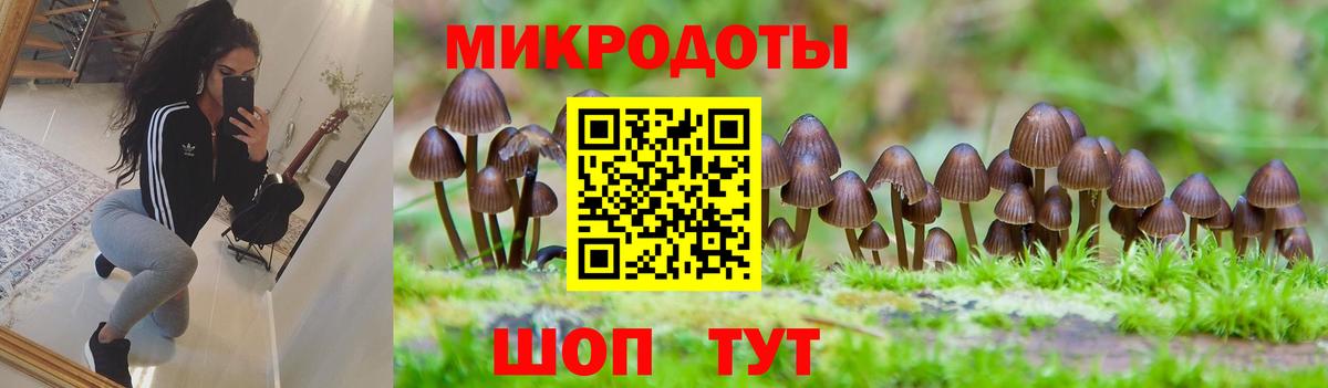 Псилоцибиновые грибы прущие грибы Нальчик