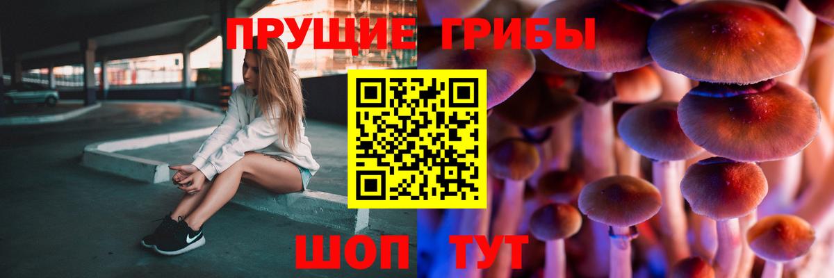 Галлюциногенные грибы ЛСД  Псилоцибиновые грибы Magic Shrooms  Нальчик  Вход с VPN 